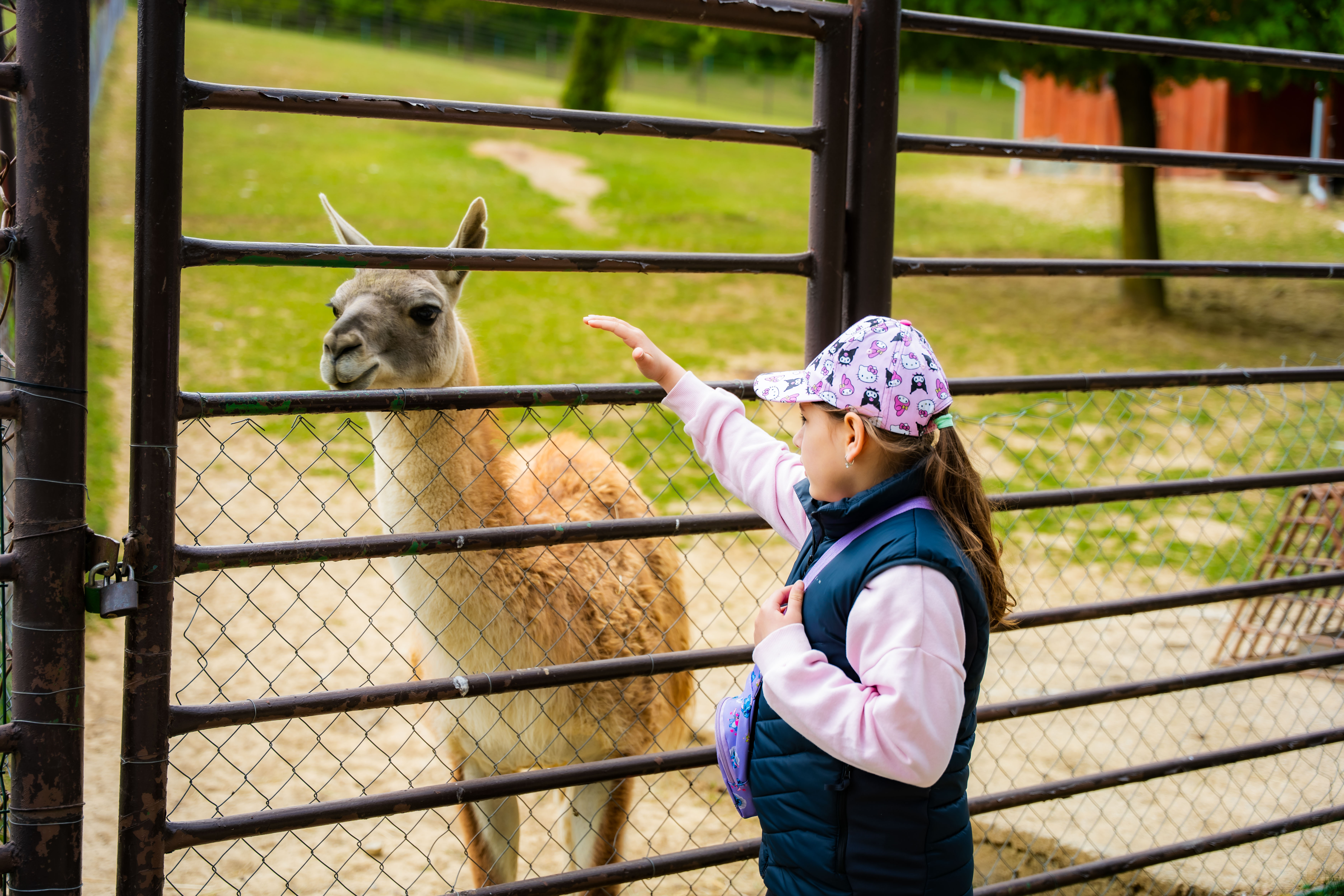 Slavnostne odomykanie vrany ZOO Kosice-1-63